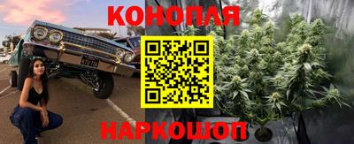 spice Малоярославец