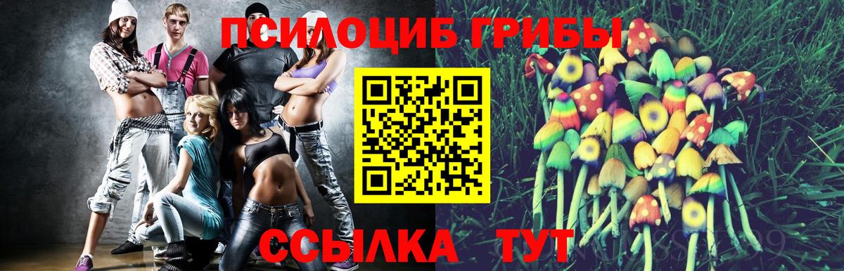 Псилоцибиновые грибы Psilocybine cubensis Уварово